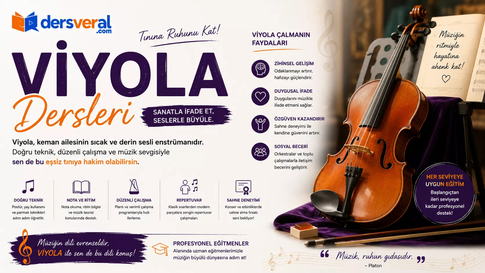 Viyola resmi