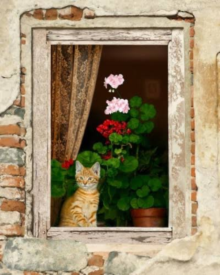 Aynur Kayhan profil fotoğrafı