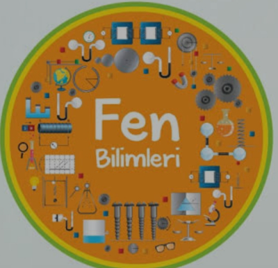 TÜLAY A. - Bursa Osmangazi  Özel Ders Öğretmeni