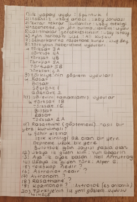 Sema Nur E.