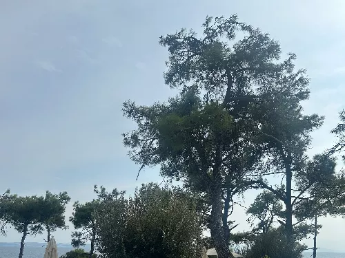 AYSU B. - Çanakkale Gelibolu  Özel Ders Öğretmeni
